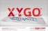 XYGO, para avanzar con inteligencia.